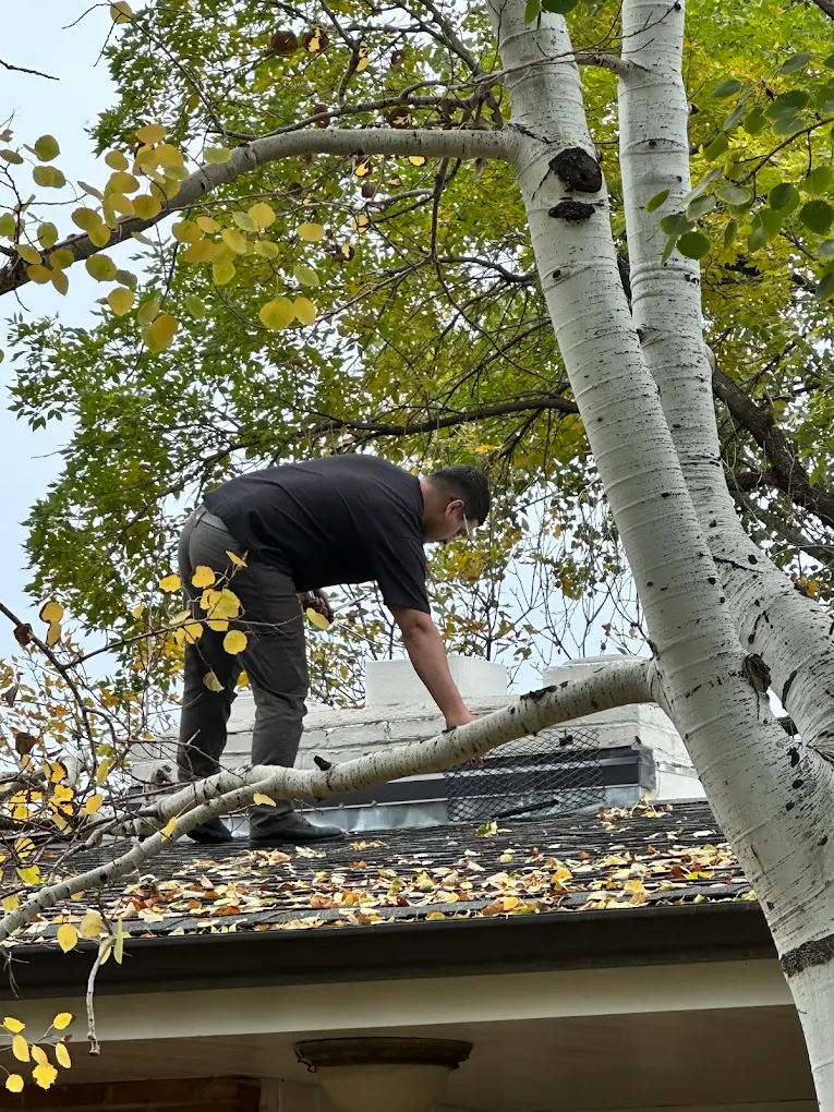 CrownUp Pros Chimney Sweep Denver